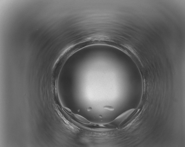 X0000060581115200511071038