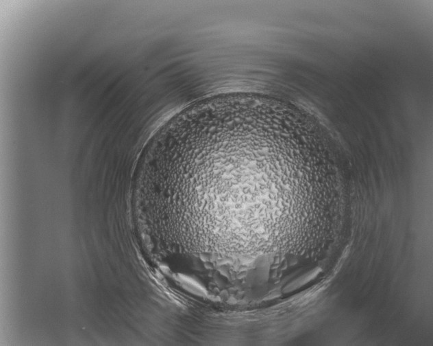 X0000060581121200511071038