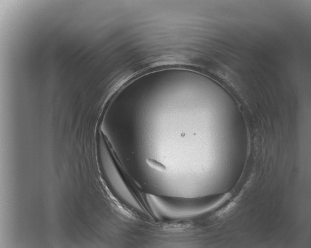 X0000060581129200511071038