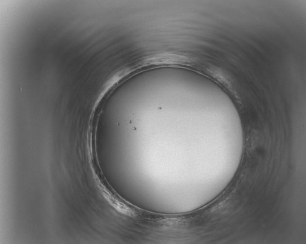 X0000060581130200511071038