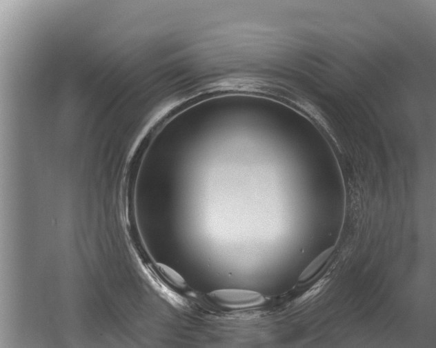 X0000060581131200511071038