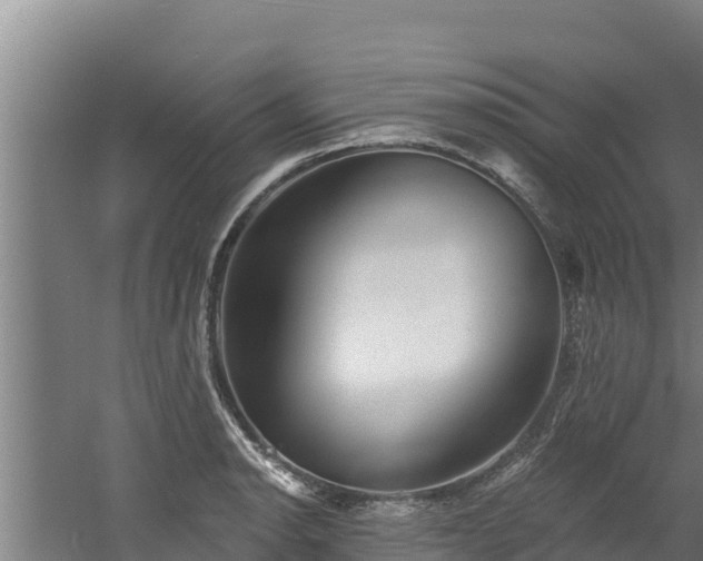 X0000060581134200511071038