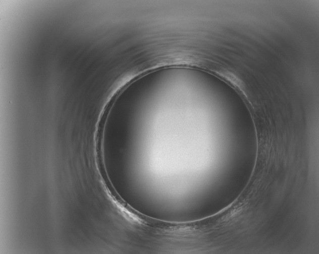 X0000060581135200511071038