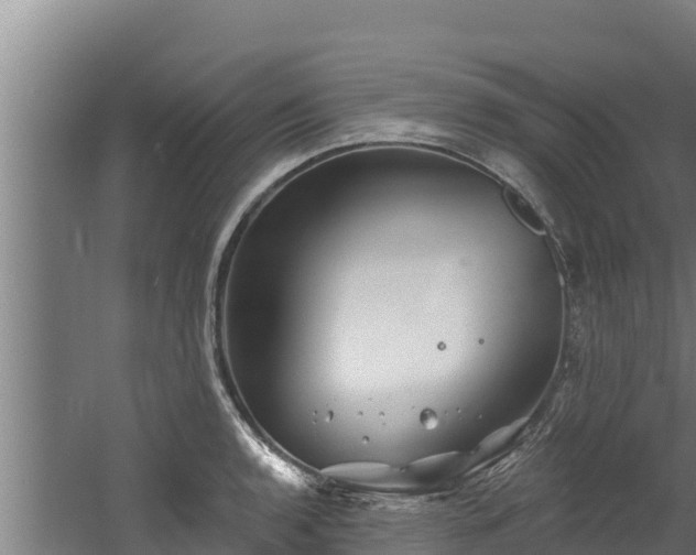 X0000060581136200511071038