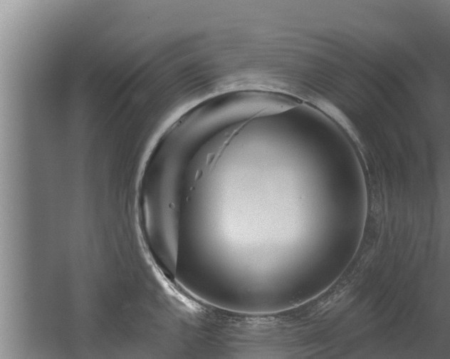 X0000060581144200511071038