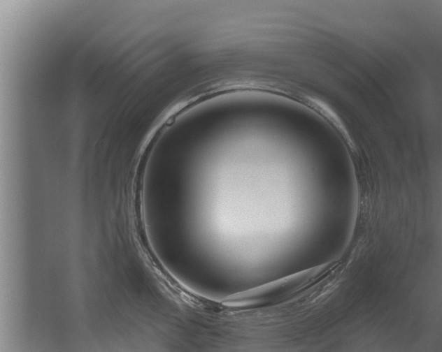 X0000060581146200511071038