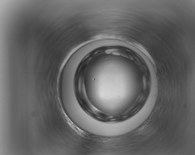 X0000060581148200511071039