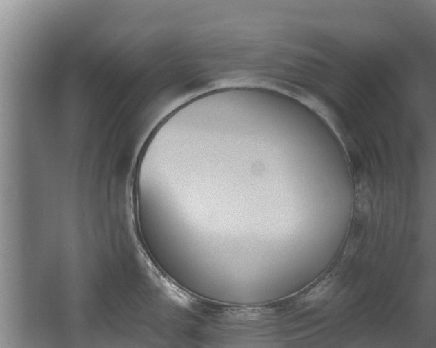 X0000060581150200511071039