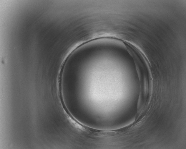 X0000060581151200511071039