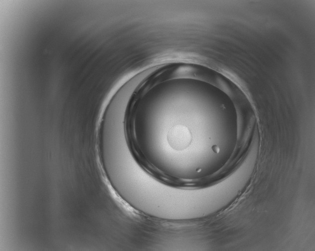 X0000060581152200511071039