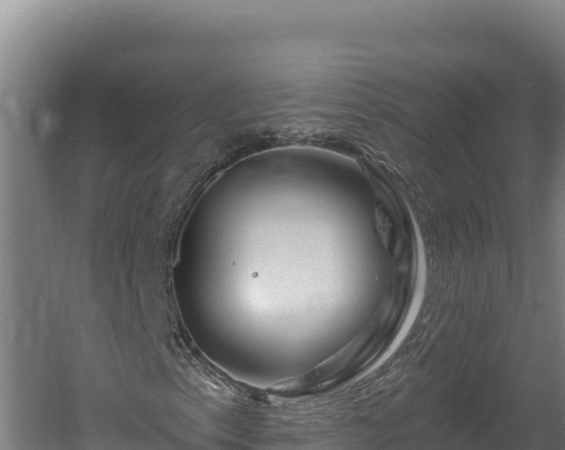 X0000060581153200511071038