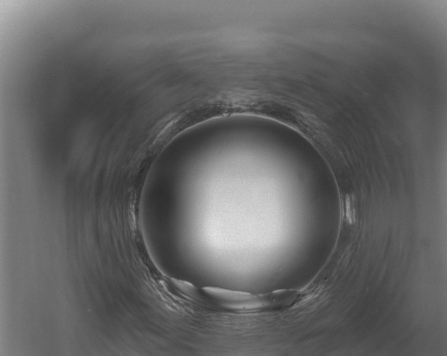 X0000060581155200511071038