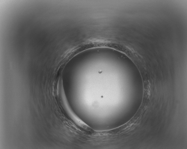 X0000060581157200511071038