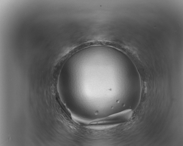 X0000060581159200511071038