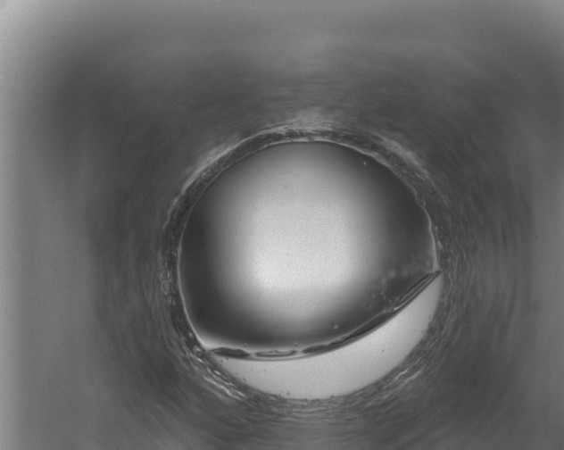 X0000060581160200511071038