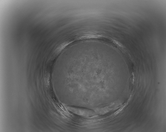 X0000060581161200511071038