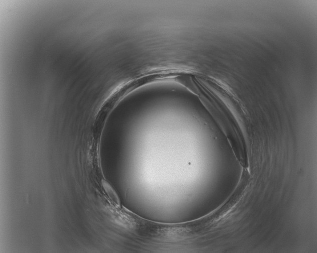 X0000060581163200511071038