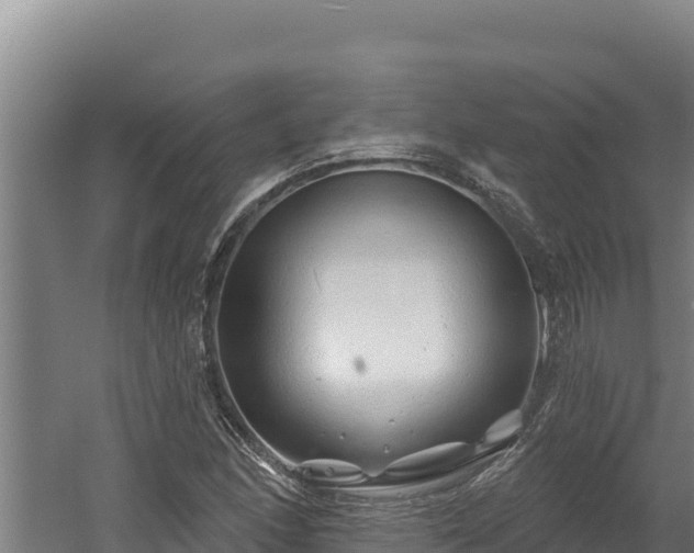 X0000060581166200511071038