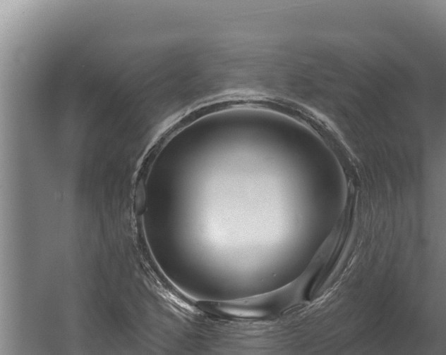 X0000060581168200511071038