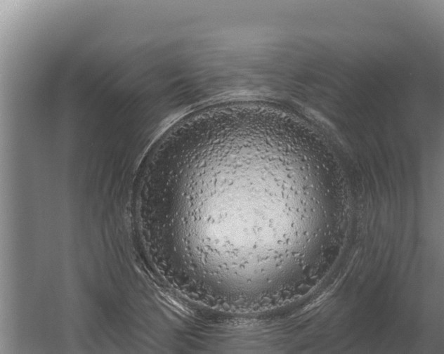 X0000060581170200511071037