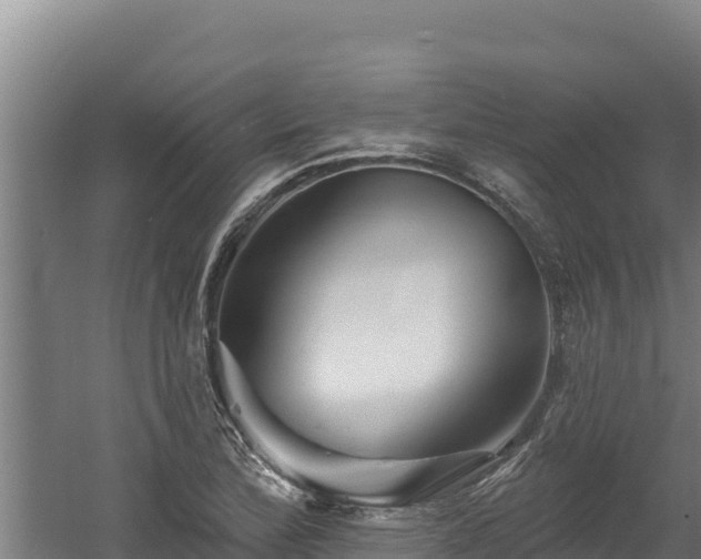 X0000060581172200511071037