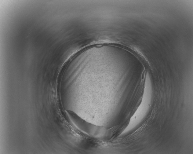 X0000060581173200511071037