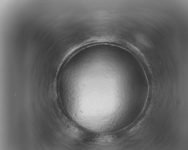 X0000060581174200511071037