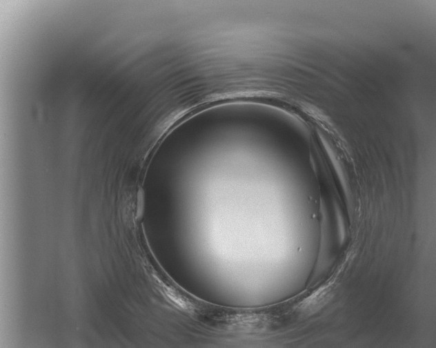 X0000060581177200511071037