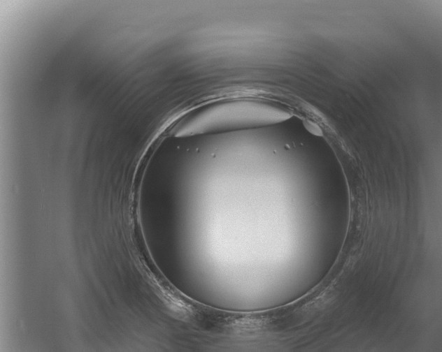 X0000060581178200511071037