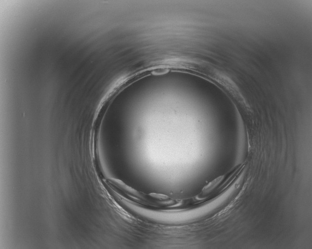 X0000060581180200511071037