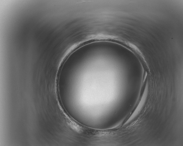 X0000060581183200511071037