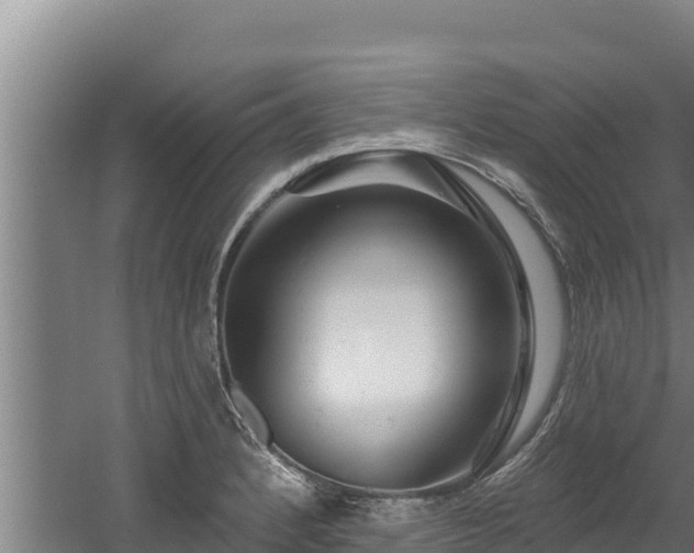 X0000060581184200511071037