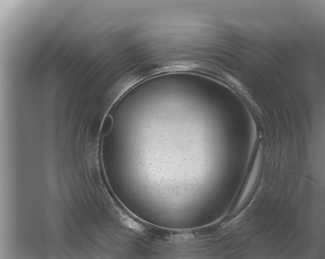 X0000060581186200511071037