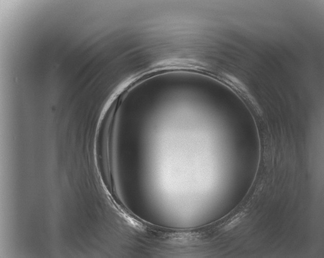 X0000060581188200511071037