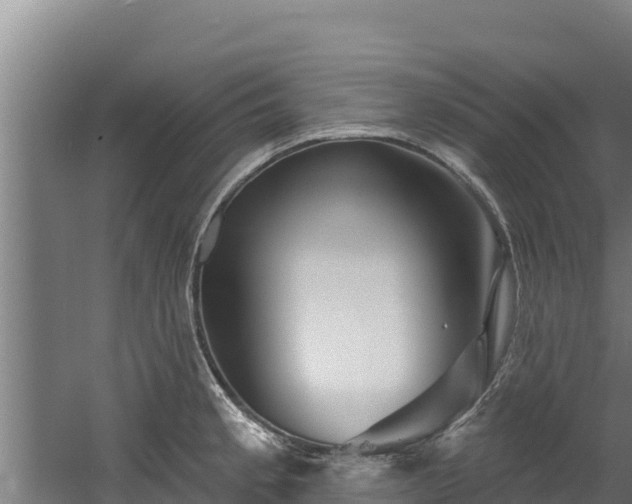 X0000060581189200511071037