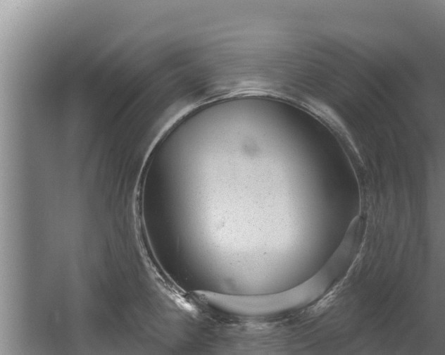 X0000060581190200511071037