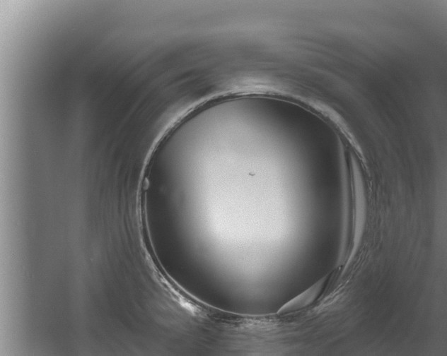 X0000060581191200511071037