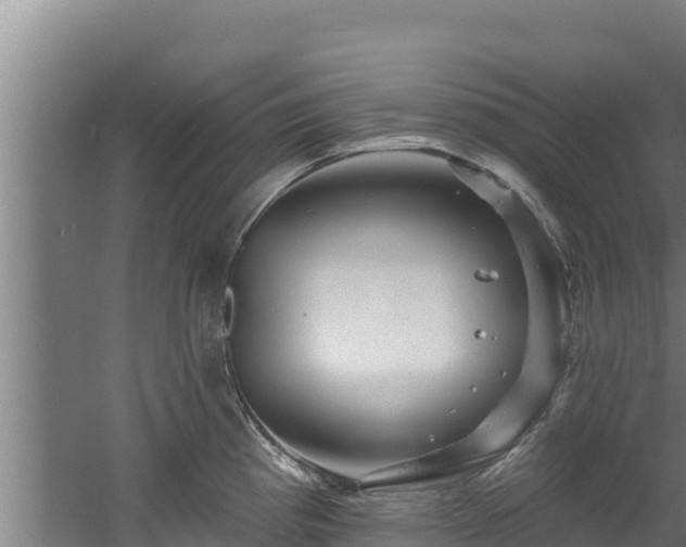 X0000060581193200511071037