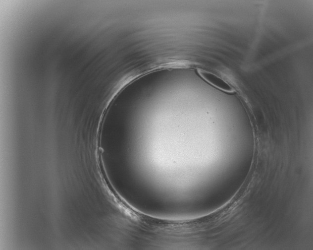 X0000060581194200511071037