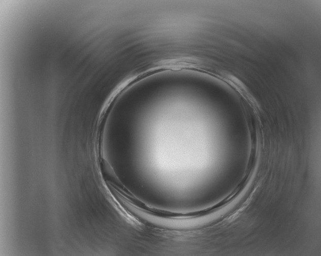 X0000060581196200511071037