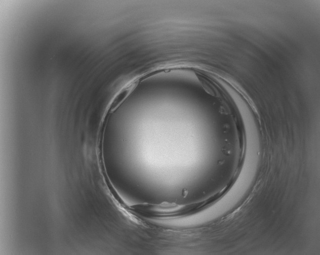 X0000060581197200511071037