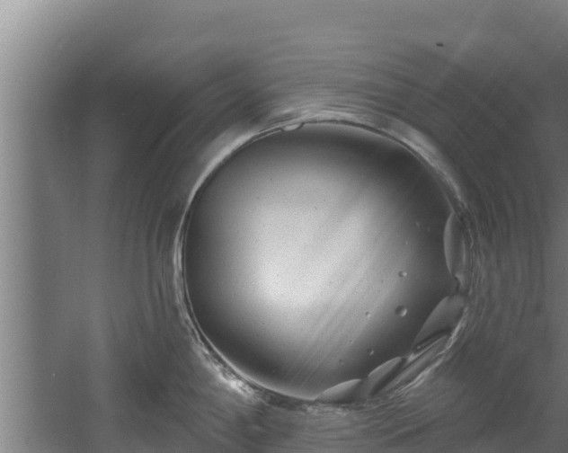 X0000060581198200511071037