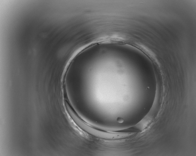 X0000060581200200511071037