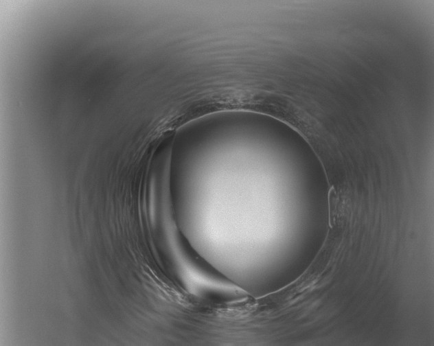 X0000060581202200511071036