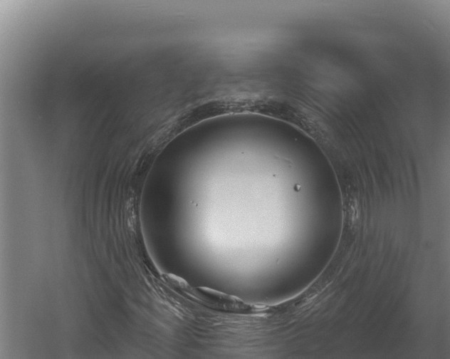 X0000060581204200511071036