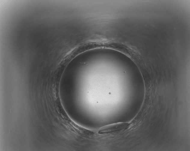 X0000060581205200511071036