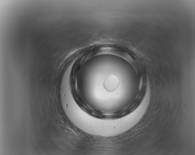 X0000060581206200511071036