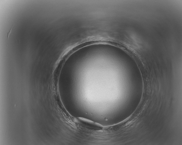 X0000060581215200511071036