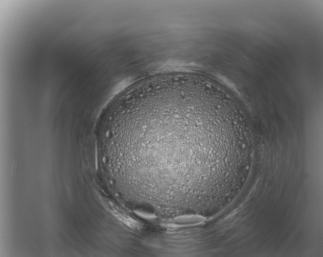 X0000060581219200511071036