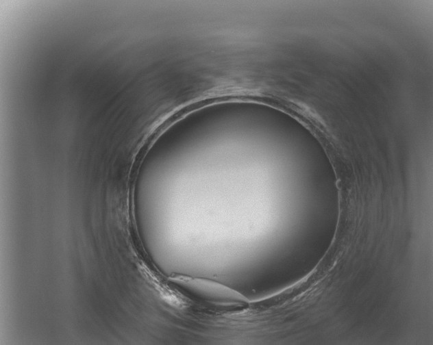 X0000060581220200511071036